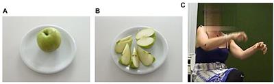 Visuo-Kinetic Signs Are Inherently Metonymic: How Embodied Metonymy Motivates Forms, Functions, and Schematic Patterns in Gesture